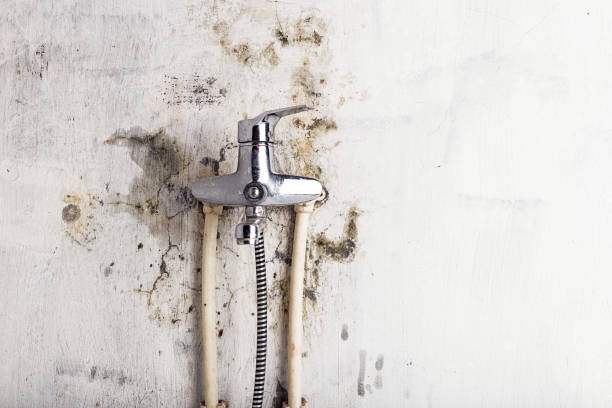Best Toxic Mold Removal  in Emerald Lakes, PA