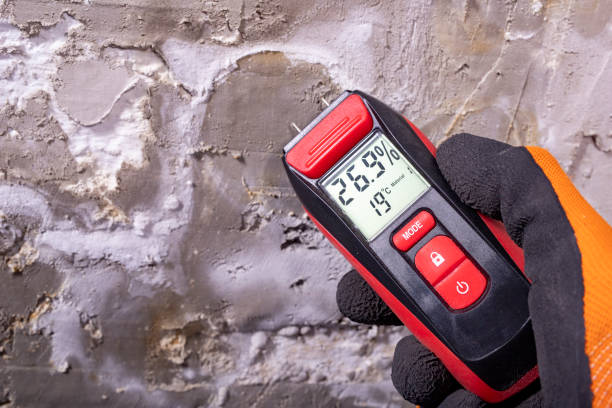 Mold Testing and Removal in Emerald Lakes, PA