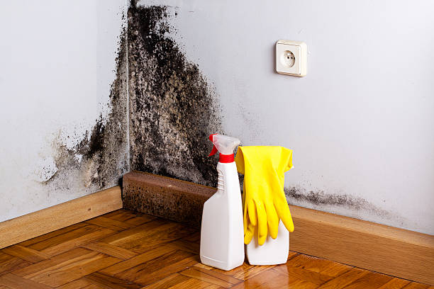 Best Crawl Space Mold Removal  in Emerald Lakes, PA