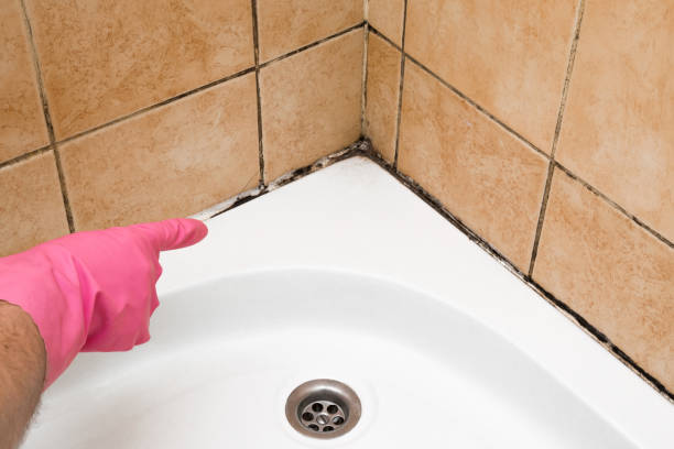 Best Crawl Space Mold Removal  in Emerald Lakes, PA